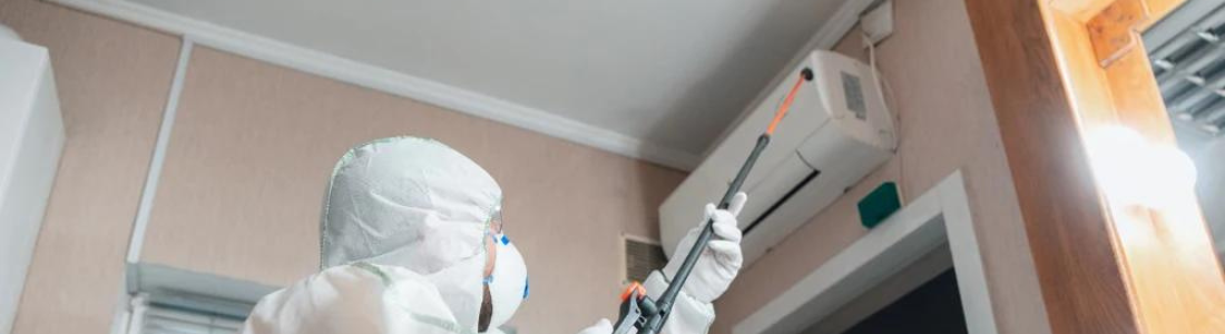 Dedetização Residencial  em Santo André  24 HORAS